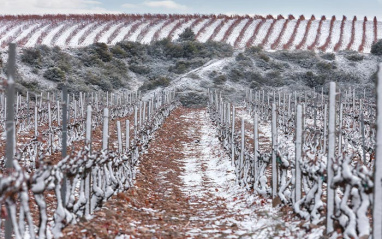 Finca Montalvillo