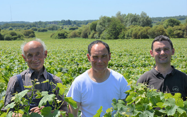 Equipo en los viñedos de Domaine de la Potardière