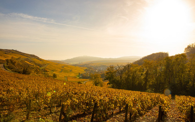 Le Piton de Sancerre