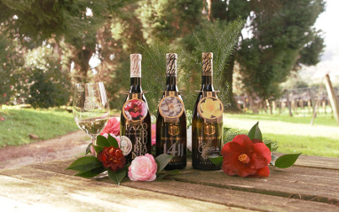 Los vinos de Pazo de Rubianes