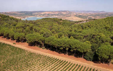 Serra Ferdinandea