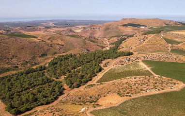 Serra Ferdinandea
