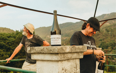 Catando en la bodega