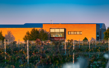 Valtravieso Bodegas y Viñedos