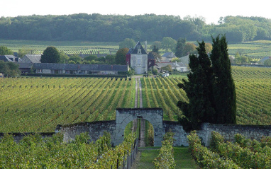Château de Chaintres
