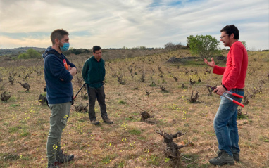 El Hato y el Garabato