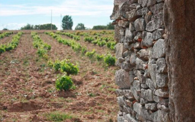 El Hato y el Garabato