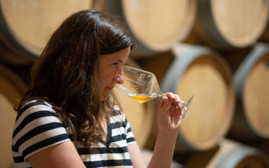 El Hato y el Garabato