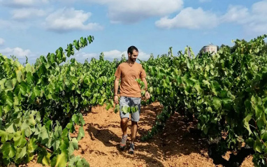 Martí paseando por el viñedo