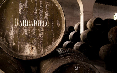 Detalle botas Barbadillo