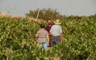 David Calvo y otras dos personas en el viñedo de Galia Soriana