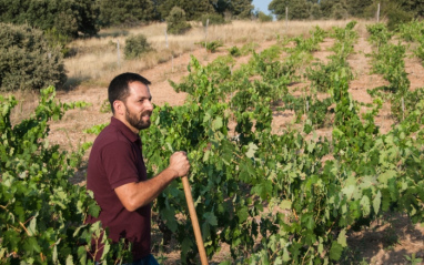 Enólogo David Calvo entre las cepas de Galia Soriana