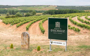 Cartel del Viñedo de Dominio d'Echauz