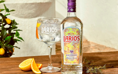 Larios Gin 1L