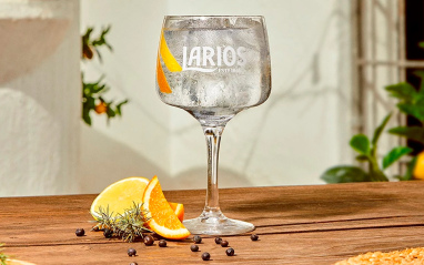 Larios Gin 1L