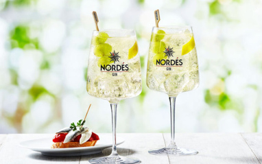 Pack Nordés Gin con 1 Vaso