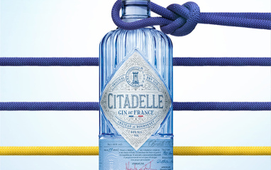 Citadelle Gin