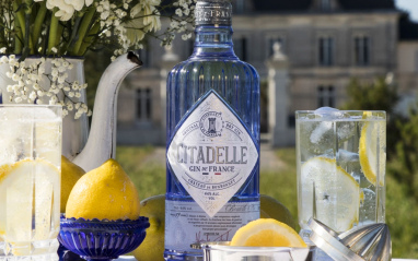 Citadelle Gin