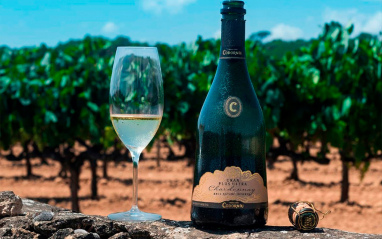 Codorníu Gran Plus Ultra Chardonnay Brut Nature