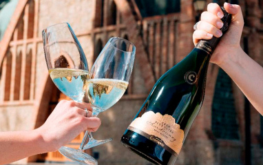 Codorníu Gran Plus Ultra Chardonnay Brut Nature