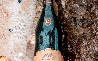 Codorníu Gran Plus Ultra Chardonnay Brut Nature