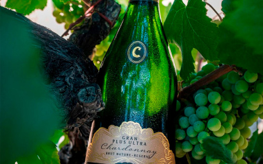 Codorníu Gran Plus Ultra Chardonnay Brut Nature