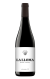La Lloma 2022