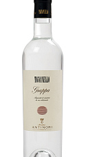 Antinori Grappa Tignanello