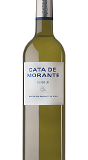 Cata de Morante 2020