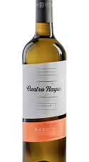 Prodotto: Cuatro Rayas Vendimia Nocturna Verdejo 2025