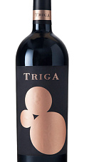 Prodotto: Triga 2021
