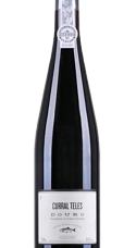 Prodotto: Curral Teles Alpha Rosso 2020-2021