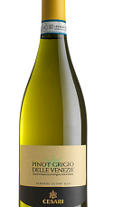 Prodotto: Cesari Pinot Grigio Delle Venezie 2025