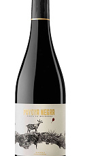 Prodotto: Payoya Negra 2023