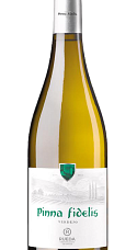 Prodotto: Pinna Fidelis Verdejo 2025