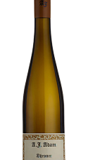 Prodotto: A. J. Adam Dhroner Riesling Trocken 2024