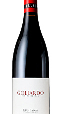 Prodotto: Forjas del Salnés Goliardo Tinto 2023