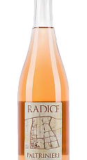 Prodotto: Paltrinieri Lambrusco di Sorbara Radice 2025