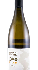 Prodotto: António Madeira Branco 2024