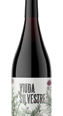Prodotto: Viuda Silvestre 2025